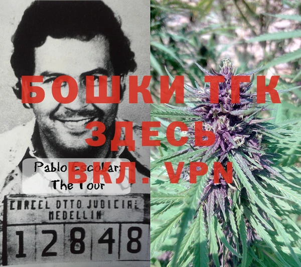 МДПВ Красноперекопск