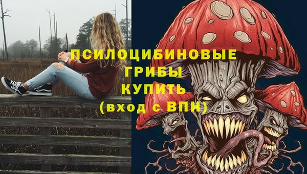 МДПВ Красноперекопск
