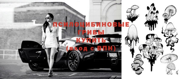 МДПВ Красноперекопск